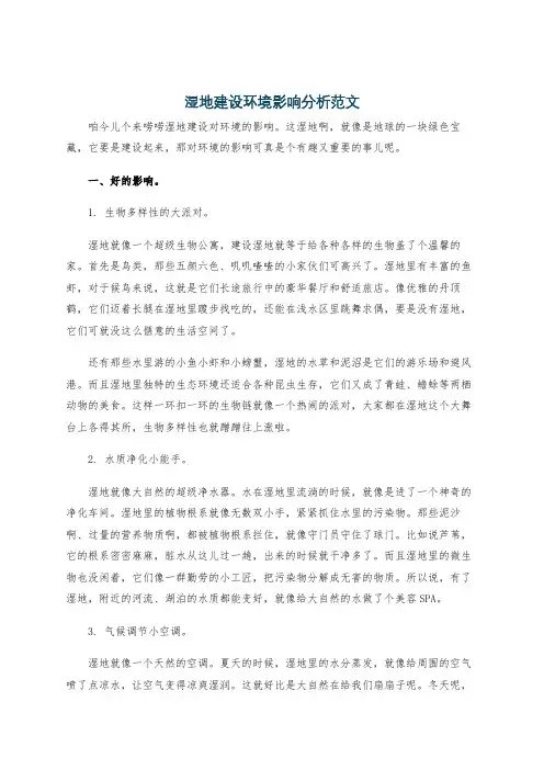 湿地建设环境影响分析范文