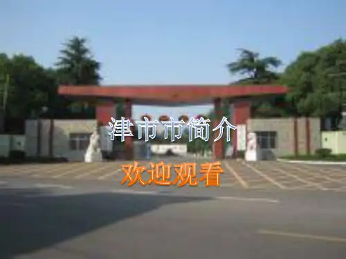 津市市