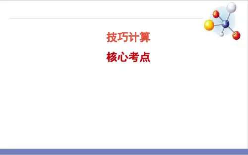 中考化学二轮专题复习技巧计算精品课件