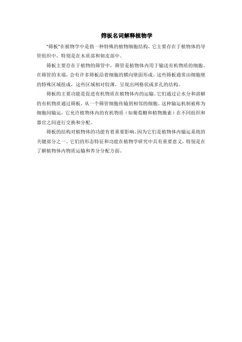 筛板名词解释植物学