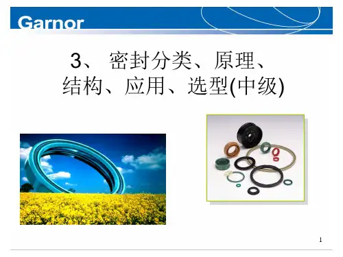 密封分类、原理、结构、应用、选型(中级)