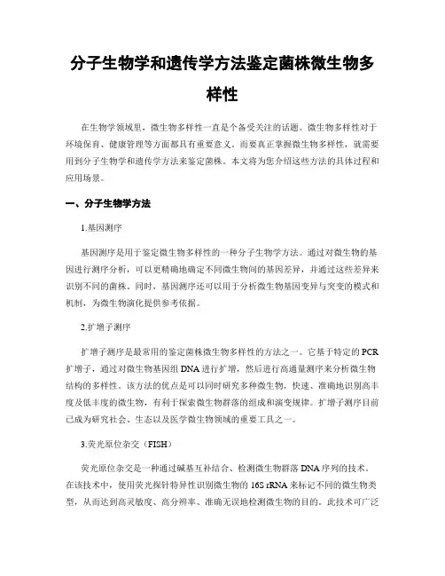 分子生物学和遗传学方法鉴定菌株微生物多样性
