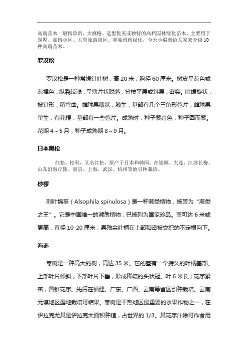 适合种植的高端林木