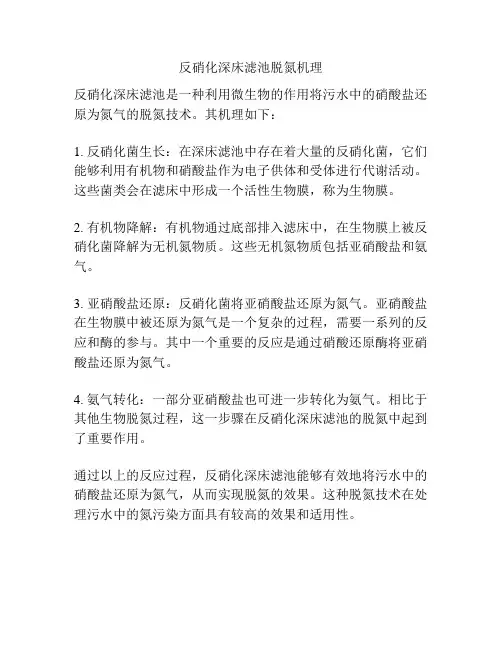 反硝化深床滤池脱氮机理