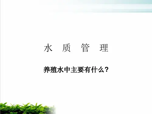 水质管理--养殖水中主要有什么讲义课件演示(11张)