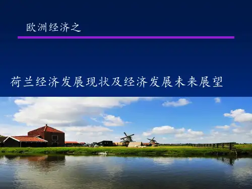 荷兰经济结构简介