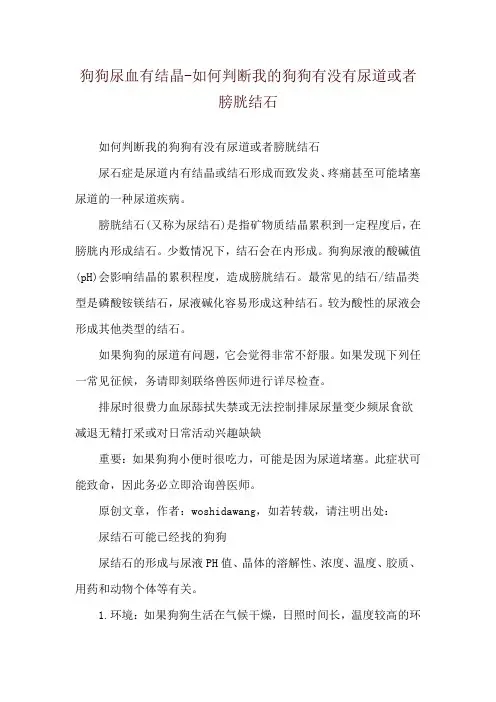 狗狗尿血有结晶-如何判断我的狗狗有没有尿道或者膀胱结石