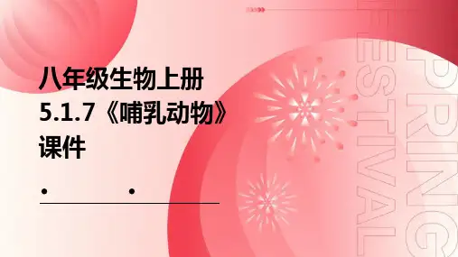 八年级生物上册5.1.7《哺乳动物》课件