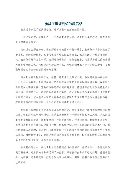 参观玉溪规划馆的观后感