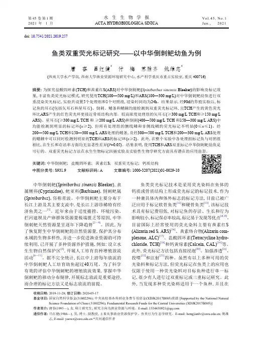 鱼类双重荧光标记研究——以中华倒刺鲃幼鱼为例