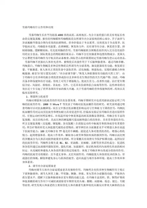 玛咖有什么作用和功效