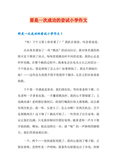 那是一次成功的尝试小学作文