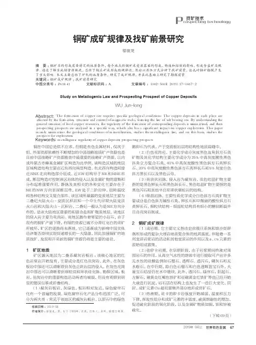 铜矿成矿规律及找矿前景研究