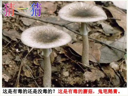 第五章第二节微生物和人类的关系
