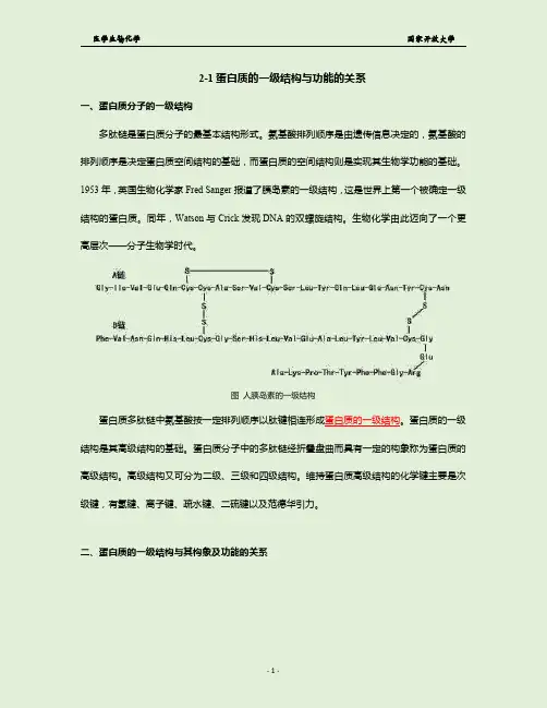 2-1蛋白质的一级结构与功能的关系