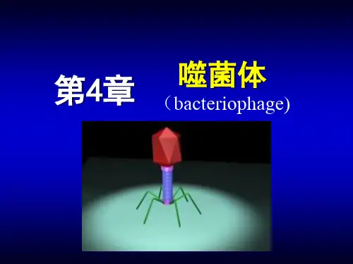 第4章 噬菌体