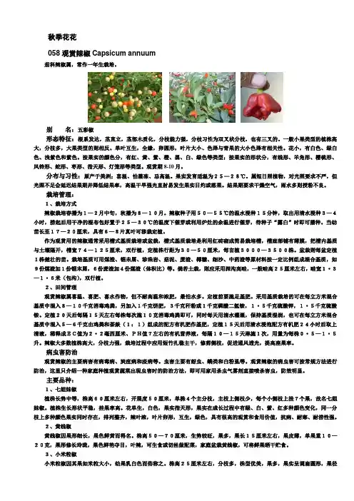 园林植物应用之花卉篇----一、二年生花卉(秋季花卉)