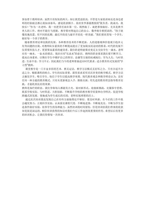骨干教师培训心得