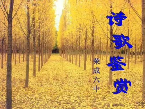 诗歌鉴赏——分类