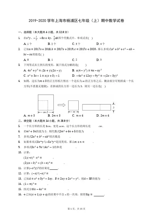 2019-2020学年上海市杨浦区七年级(上)期中数学试卷 (有答案)