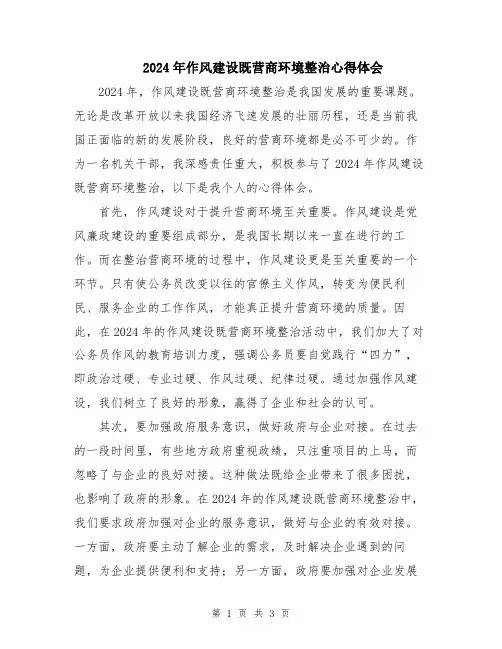 2024年作风建设既营商环境整治心得体会