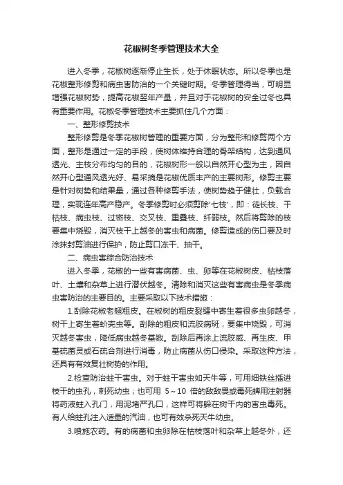 花椒树冬季管理技术大全