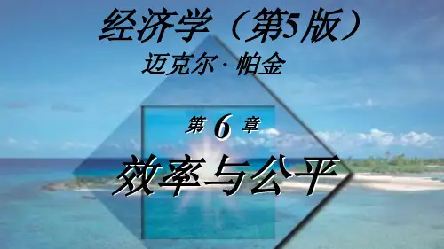 经济学之效率与公平(ppt 46页)