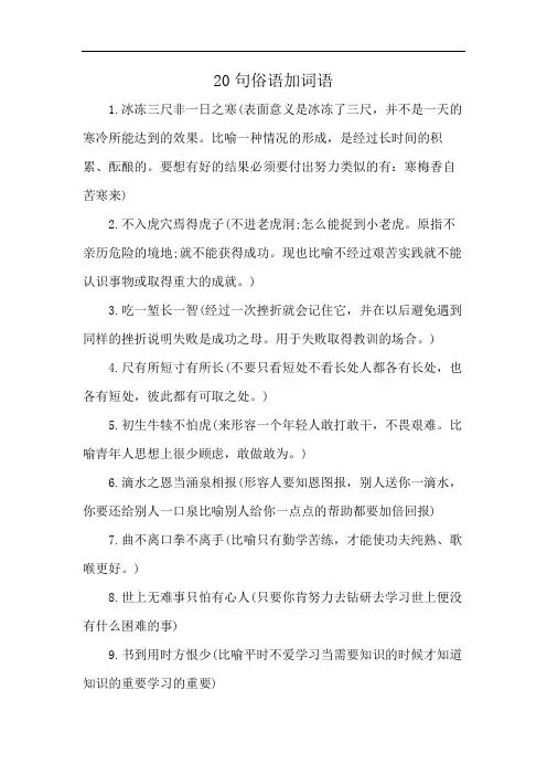 20句俗语加词语