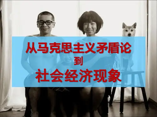 马哲-矛盾分析法