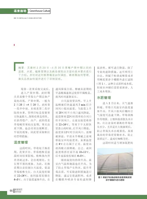 日光温室草莓栽培管理技术(五)--产果中期管理