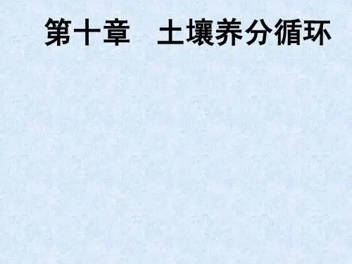 10第十章土壤养分