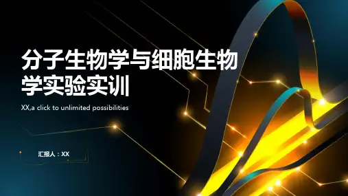 分子生物学与细胞生物学实验实训