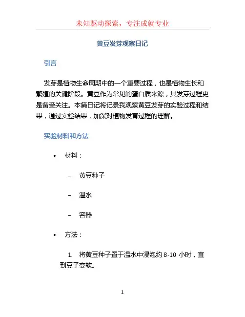 黄豆发芽观察日记