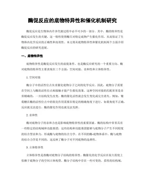 酶促反应的底物特异性和催化机制研究