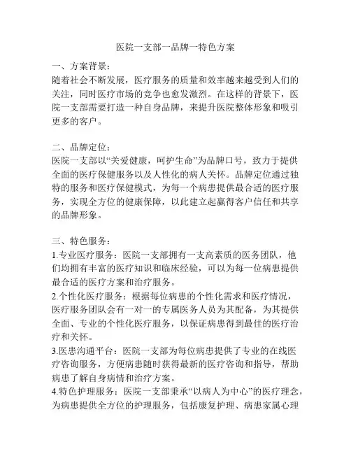 医院一支部一品牌一特色方案