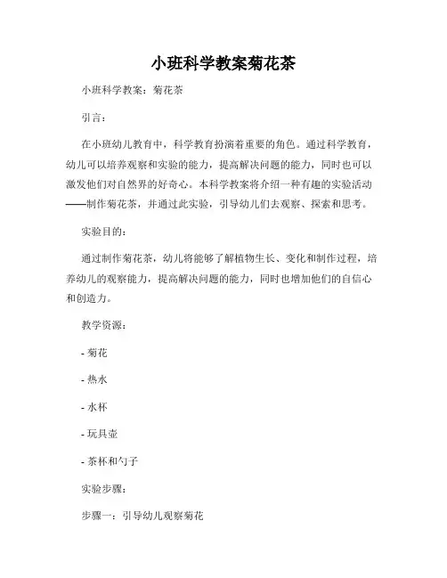 小班科学教案菊花茶
