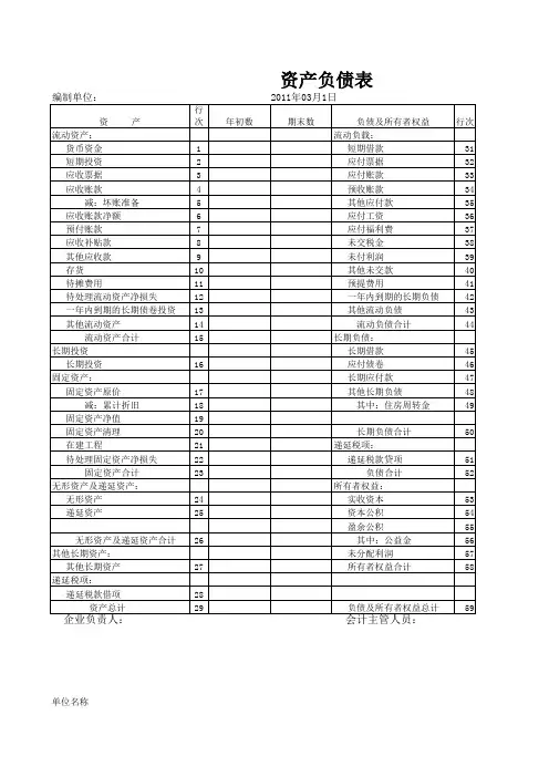 财务三大报表(空白表)