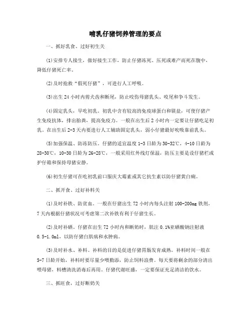 哺乳仔猪饲养管理的要点