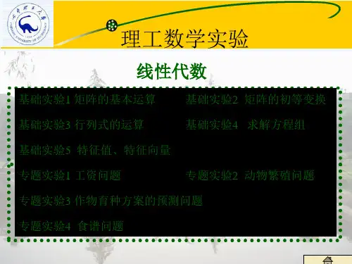 mathematica矩阵运算