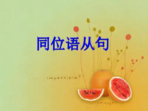 高考英语同位语从句课件(共32张PPT)