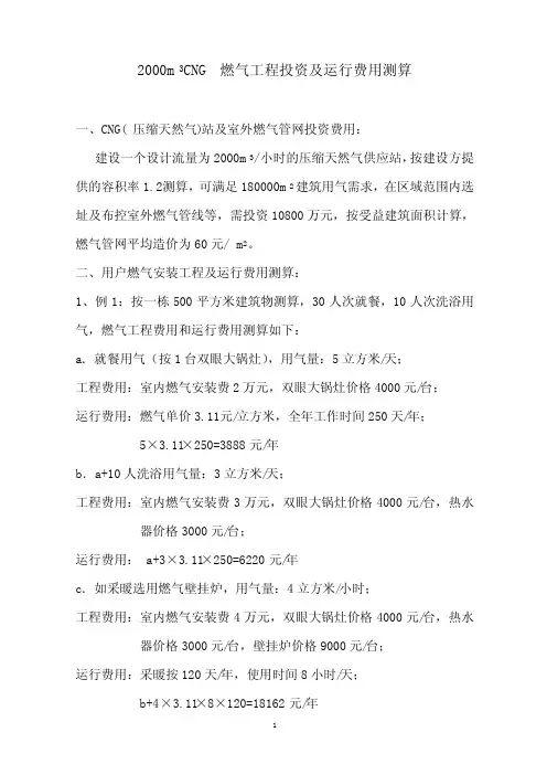 燃气项目方案