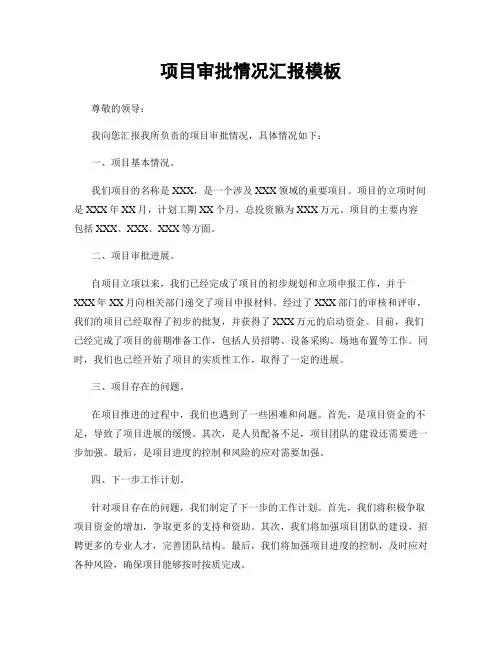 项目审批情况汇报模板