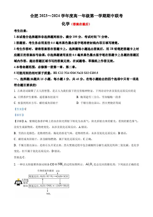 安徽省合肥市2023-2024学年高一上学期期中考试化学试题含解析
