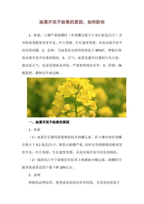 油菜开花不结果的原因,如何防治