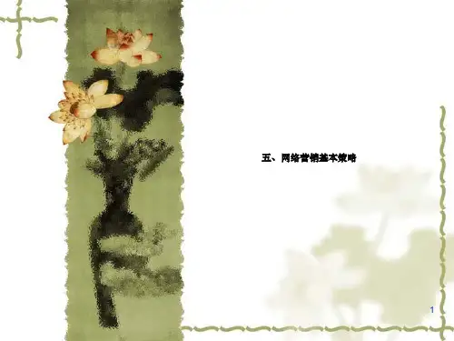 网络营销案例分析(第五章)