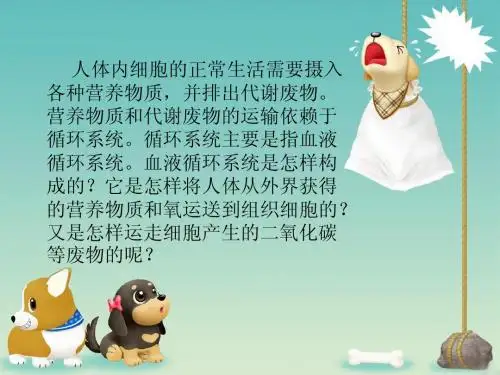 血液循环复习课件