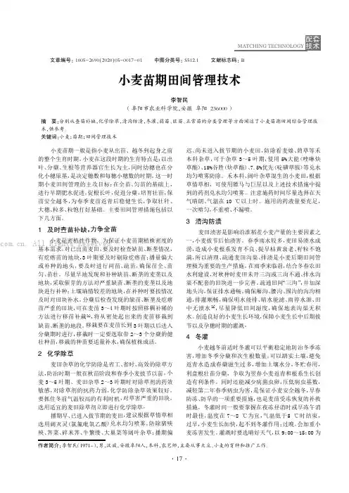 小麦苗期田间管理技术