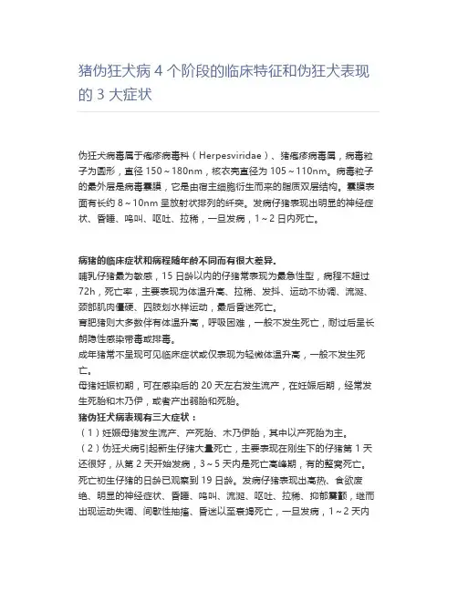 猪伪狂犬病4个阶段的临床特征和伪狂犬表现的3大症状
