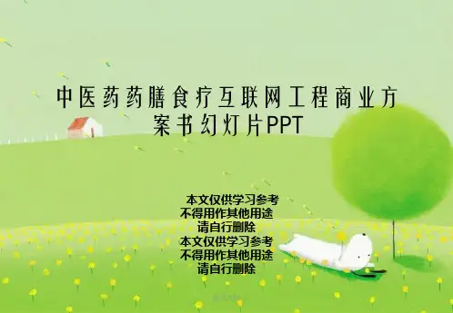 中医药药膳食疗互联网项目商业计划书幻灯片PPT