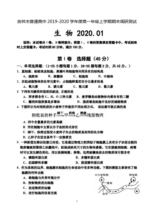吉林省吉林市2019-2020学年高一上学期期末考试 生物试题含答案